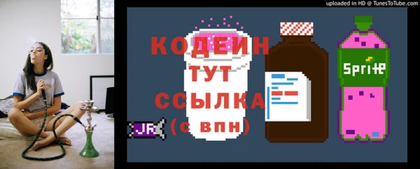 стаф Магас
