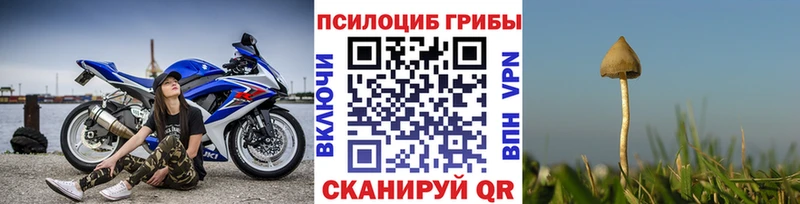 Галлюциногенные грибы GOLDEN TEACHER  Болгар 